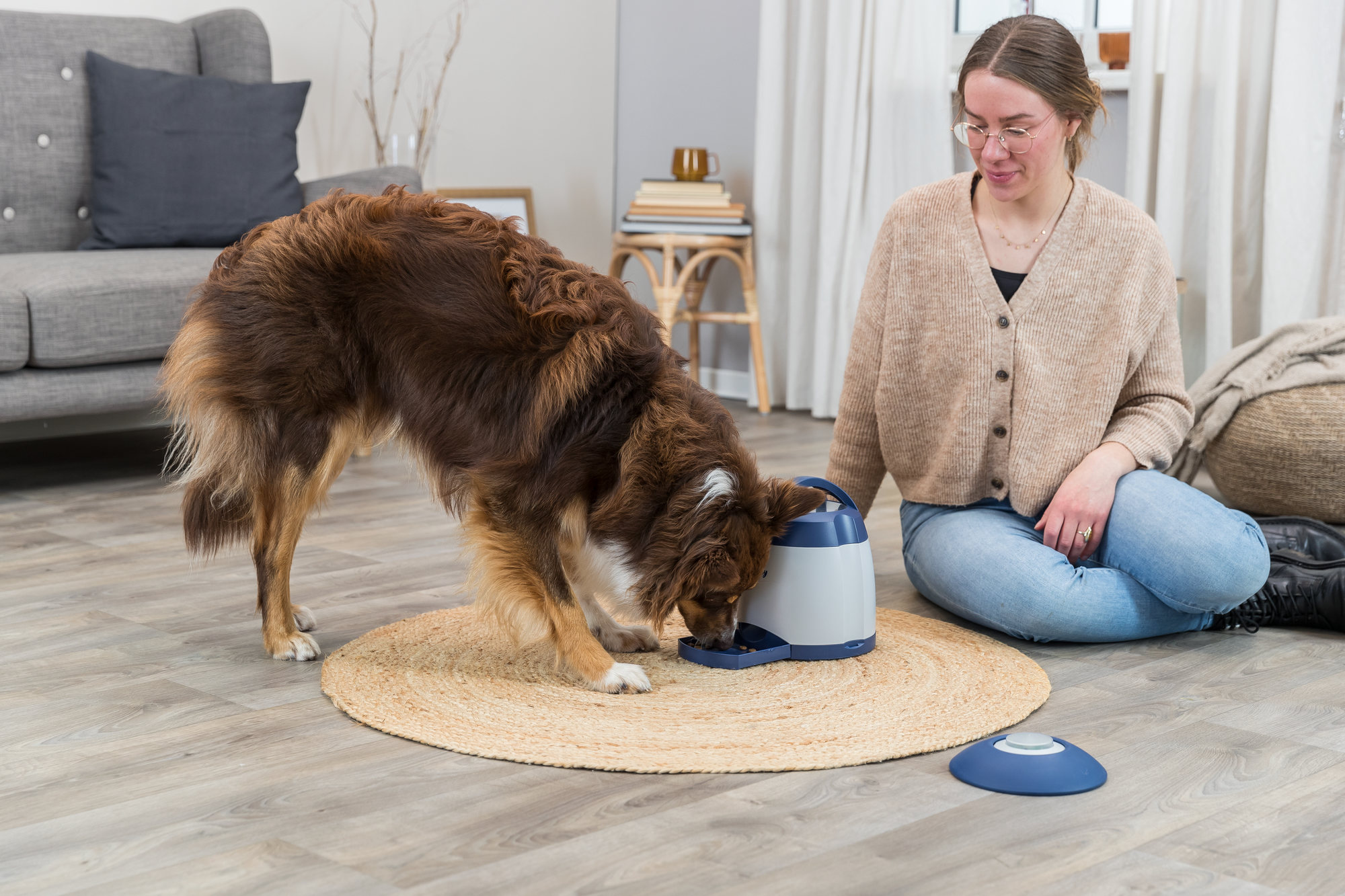 TRIXIE Memory Trainer